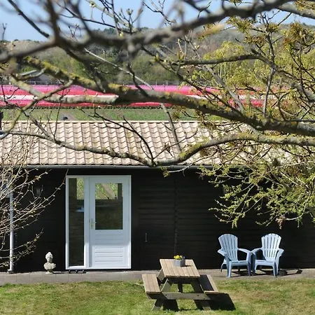 Chalet Egmond